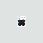 Conjunto Aplique De Pared Concha Negra Doble 02.010.0440