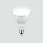 Foco LED Par38 E27 02.001.0626